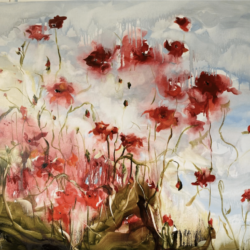 44) Poppies - By: Mary Rolland