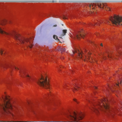 22) White Dog in Red Field - By: Bill Hamilton